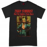 Ziggy Stardust Spider
